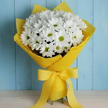 Букет цветов из:  Хризантемы в Зарубино Новгородская область