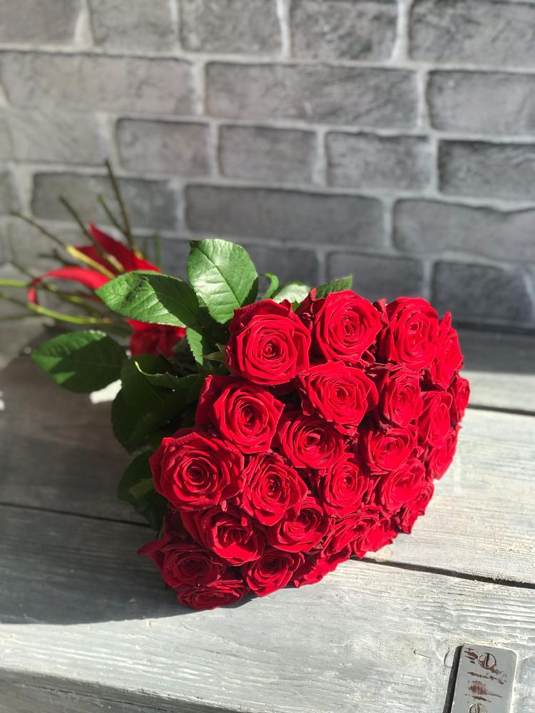 Букет Красные розы Фридом в Зарубино Новгородская область