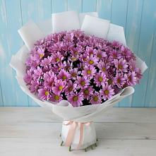 Букет цветов из:  Хризантемы в Зарубино Новгородская область