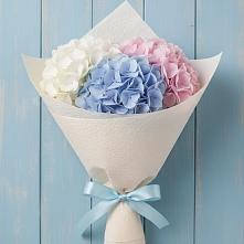 Букет цветов из:  Гортензия в Зарубино Новгородская область