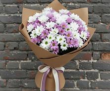 Букет цветов из:  Хризантемы #REPLACE_PRED# Зарубино Новгородская область