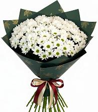 Букет цветов из:  Хризантемы #REPLACE_PRED# Зарубино Новгородская область