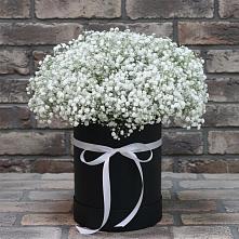 Цветочная композиция из Гипсофила в шляпной коробке #REPLACE_PRED# Зарубино Новгородская область