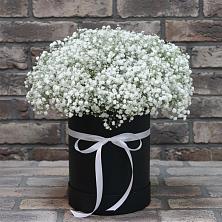 Цветочная композиция из Гипсофила в шляпной коробке в Зарубино Новгородская область