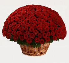 Премиум букет из: Розы в Зарубино Новгородская область