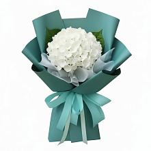 Букет цветов из:  Гортензия в Зарубино Новгородская область